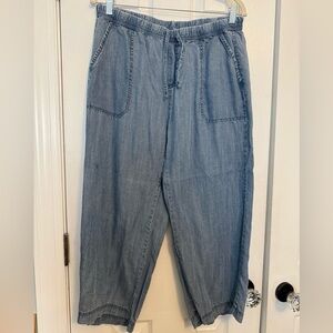 Splendid Light Blue Denim Pants